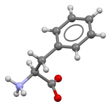 File:Phenylalanine-from-xtal-3D-bs-17.png