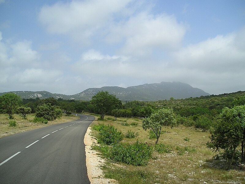 File:PicStLoup plaineSeuilles 23072009.JPG