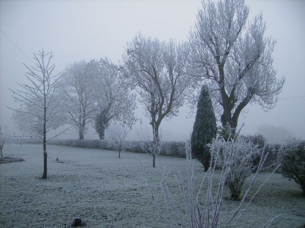 Heavy frost near Pickering. The temperature was −2 °C when this picture was taken.