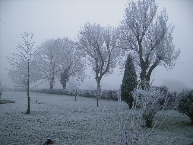 Heavy frost near Pickering. The temperature was −2 °C when this picture was taken.