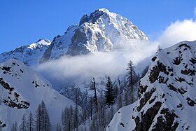 Widok na północno-zachodni stok Planjavy z Okrešelj.