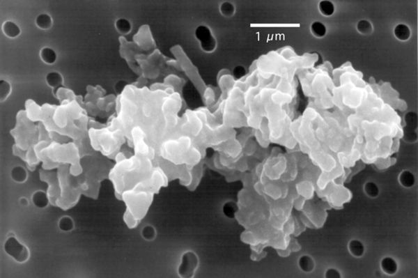 Porous chondrite dust particle