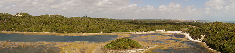 File:Praia de Genipabu - RN 03.JPG