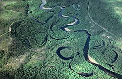 Korvsjö: Bågformad insjö som bildas av meandrande vattendrag
