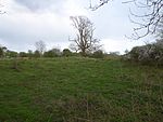 Racecourse Farm Fields