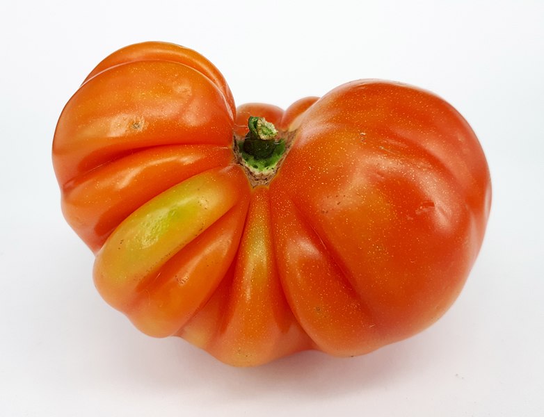 File:Raf tomato 2017 F1.jpg