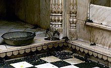 Indigenous rats are allowed to run freely throughout the Karni Mata Temple. Rat temple.jpg