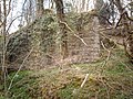 Remains of railway bridge in Shielhill Glen