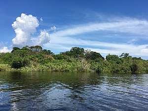 The season was filmed in Rio Negro in The Amazon. Rio negro em manaus 3.jpg