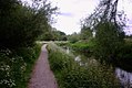 River and Cycleway - geograph.org.uk - 441936.jpg