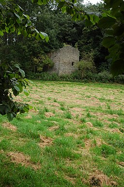 Ruined stone building beside the River Avon - geograph.org.uk - 565987