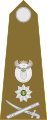 Brigadier general (South African Army)[44]