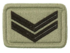 SANDF Rank Insignia Corporal reliefornamis badge.png