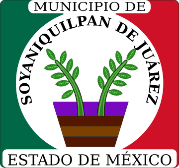 Soyaniquilpan de Juárez