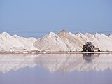 Saline am Dry Creek, Adelaide