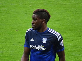 Anschauliches Bild des Artikels Sammy Ameobi