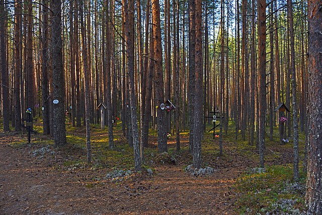 Sandarmokh forest
