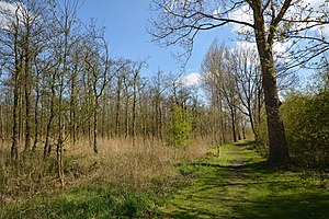 Schleswig-Holstein, Lunden, Landschaftsschutzgebiet und Naturerlebnisraum NIK 5779.jpg