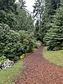 Washington Park Arboretum