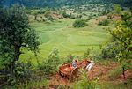 Thumbnail for Agriculture in Myanmar