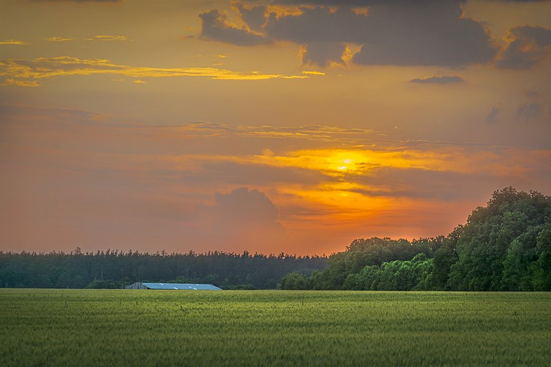 File:Shebekinsky District, Belgorod Oblast, Russia - panoramio (19).jpg