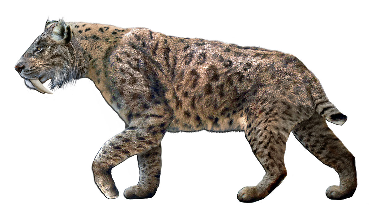jaguar – Wiktionary