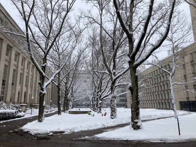 640px-Snow_at_MIT_Eastman_Court_20220107.png (640×480)