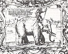 White elephant - Wikiwand