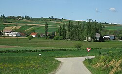 Landschap in de gemeente Rogašovci