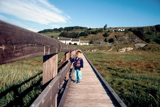 St Cyrus National Nature Reserve - 1987 - geograph.org.uk - 2475796