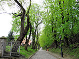 English: Staromiejska Street in Sandomierz Polski: ulica Staromiejska w Sandomierzu