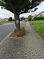 4 October 2021 (according to Exif data) File:Steckbrief Vermisste Hauskatze im Wohngebiet Kirschengarten in Tauberbischofsheim 4.jpg