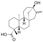 Molecular structure of steviol, showing the substituted hydrogens on the carboxyl group (bottom) and the hydroxyl group (top) Steviol structure.svg