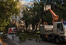 Windthrow in Linz, Austria on 10 February. Fallen trees accounted for a large proportion of damage from the storm in Austria. Sturmschaden Lessingstrasse, Linz, 10.02.2020.jpg
