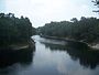 Parc d'État de la rivière Suwannee river03.jpg