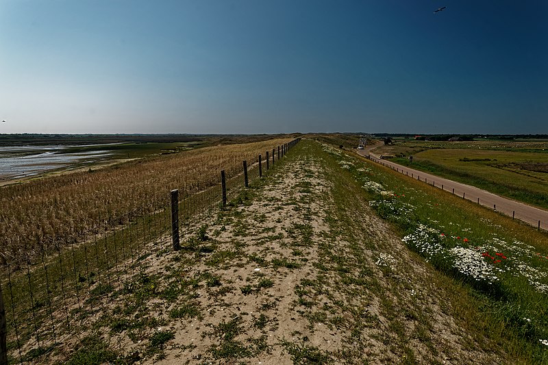 File:Texel - Mokbaai Dijk - Molwerk - View WNW.jpg