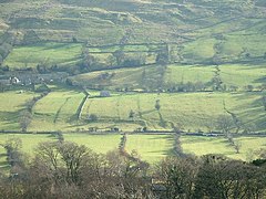 The Eastern end of Newbiggin across Bishopdale.jpg