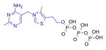 Thiamine triphosphate (ThTP) Thiamine triphosphate coloured.svg