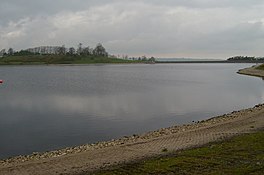 Danau dengan pohon di bank