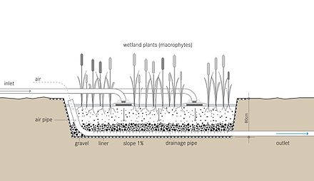 Schematic of a vertical subsurface flow constructed wetland: Effluent flows through pipes on the subsurface of the ground through the root zone to the ground.[19]