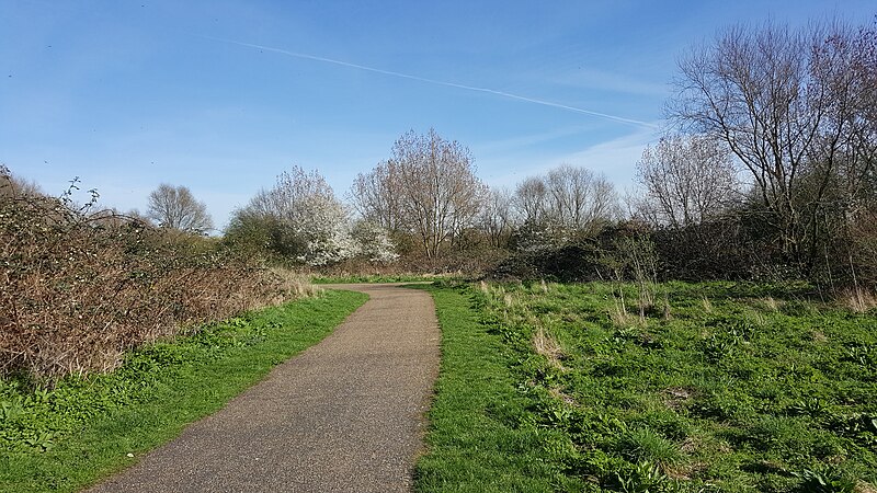 File:Tottenham Marshes 20170313 141120 (47690293901).jpg