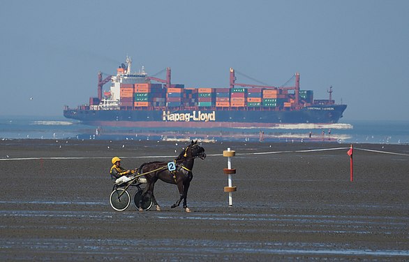 Trotter at "Duhner Wattrennen", the traditional horse race on the North sea mudflats off Cuxhaven, in front large container ship