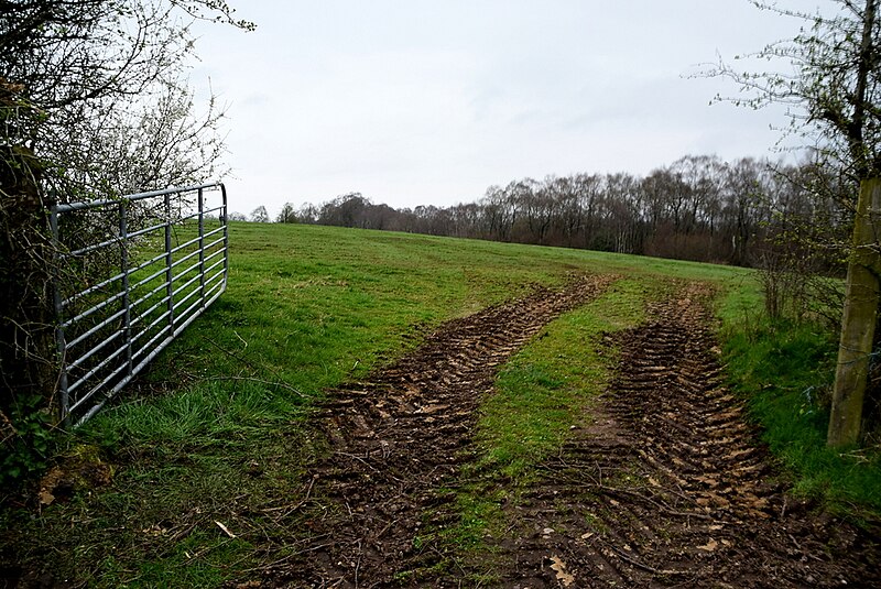 File:Tracks to an open field, Tattykeeran - geograph.org.uk - 6106257.jpg