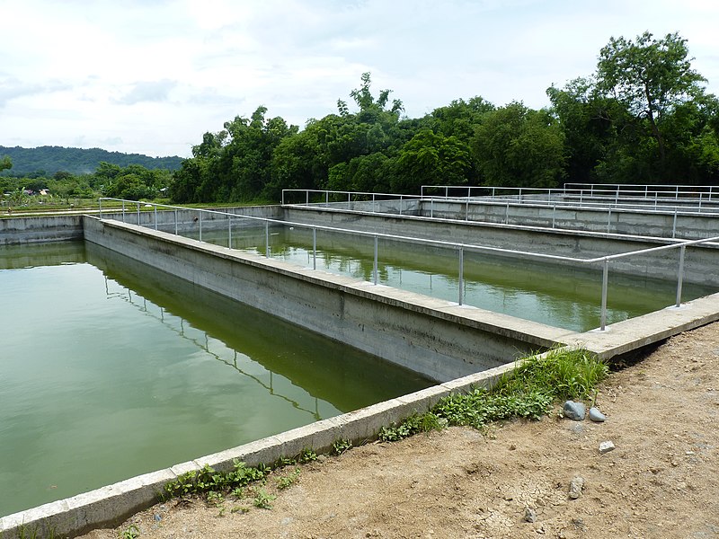 File:Treatment lagoon cells with common walls to save space Philippines (28766090521).jpg