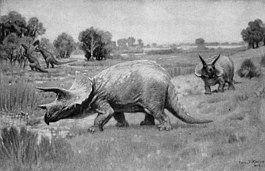 Triceratops - 1904.jpg