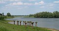 between Welsum and Welsumerveld, the flood plains of the IJssel