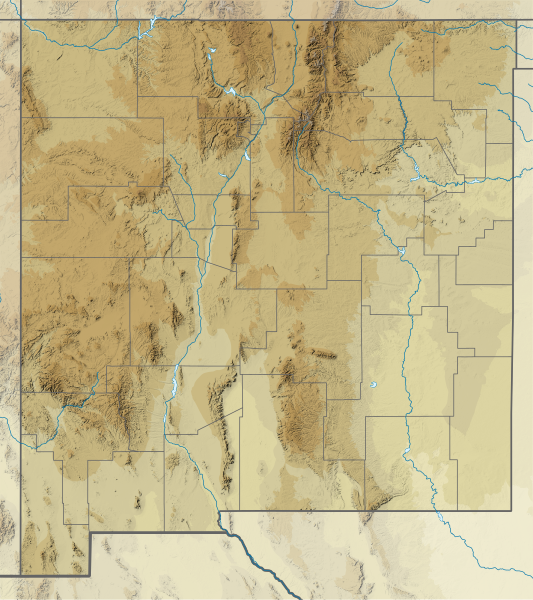 File:USA New Mexico relief location map.svg