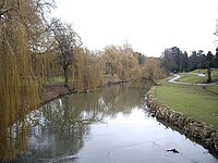 En amont de la rivière Skerne - geograph.org.uk - 1746130.jpg