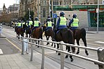 Thumbnail for Victoria Police Mounted Branch