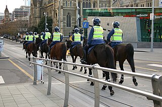 Victoria Police Mounted Branch